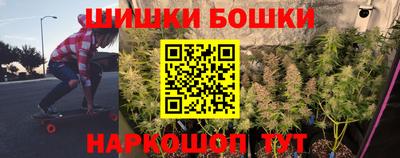 индика Можайск