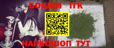 индика Можайск