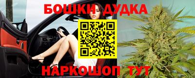 индика Можайск