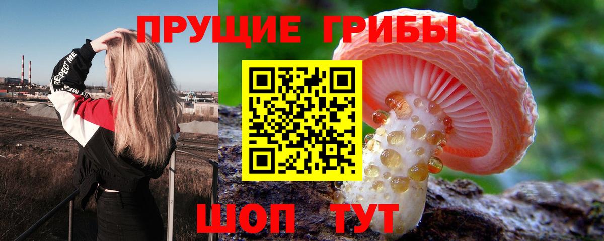 Псилоцибиновые грибы мицелий Пугачёв