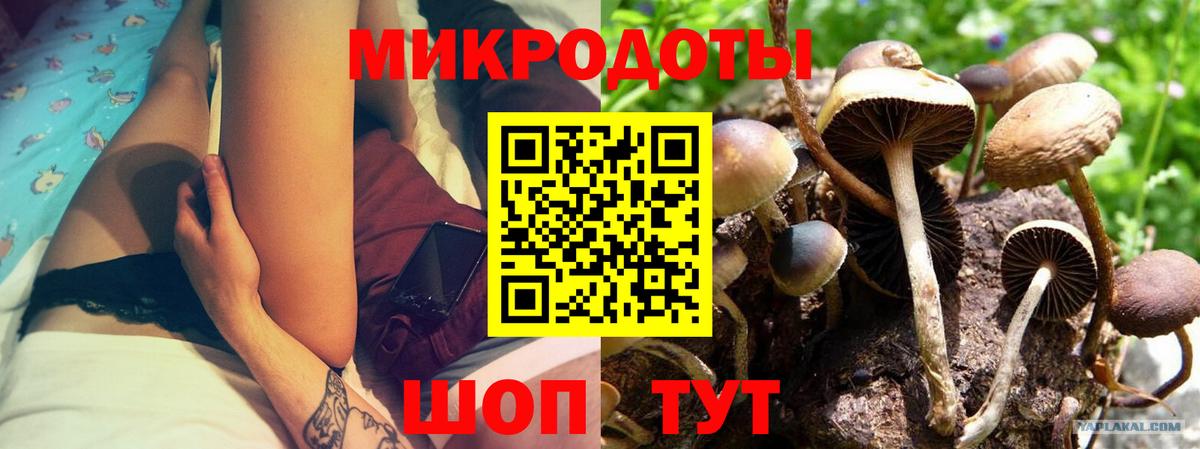 Пугачёв  Галлюциногенные грибы Magic Shrooms  Вход с VPN 